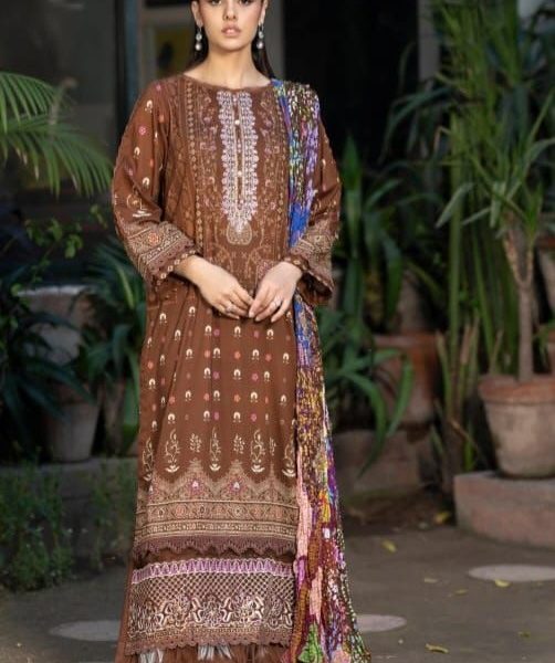 2 Piece Organza Saree-Embroidered (Pret)